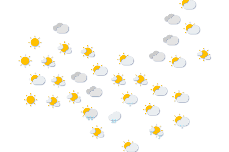 Forecast