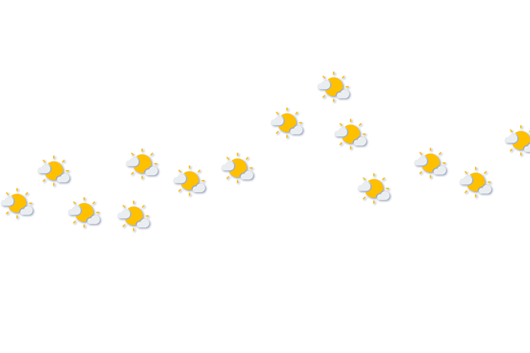 Forecast