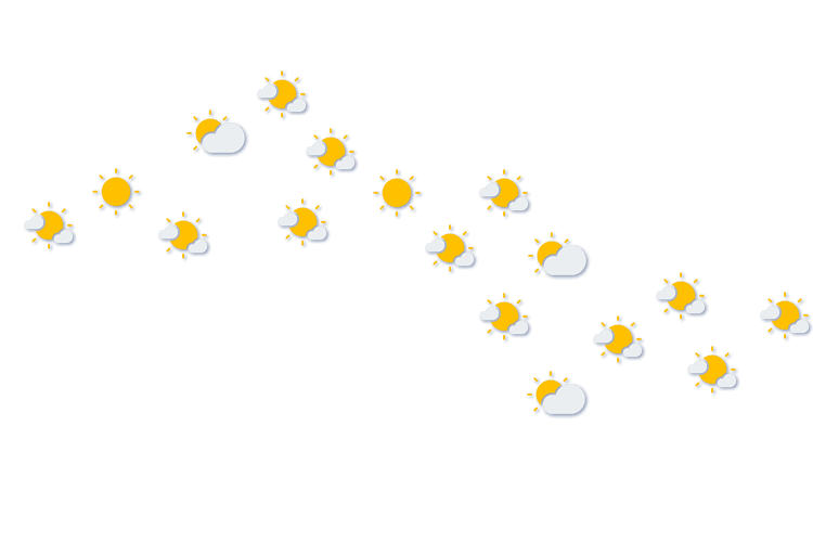Forecast