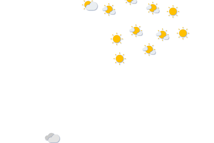 Forecast