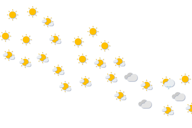 Forecast