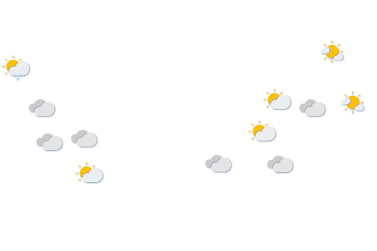 Forecast
