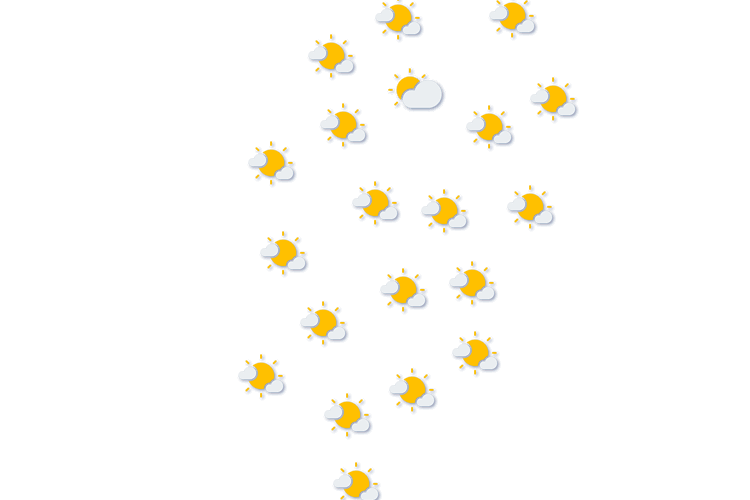 Forecast