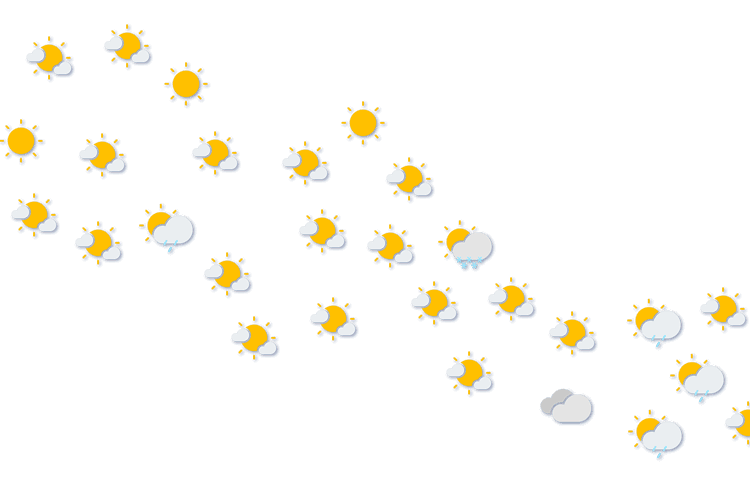 Forecast