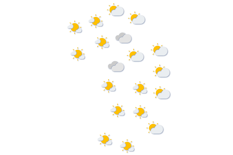 Forecast