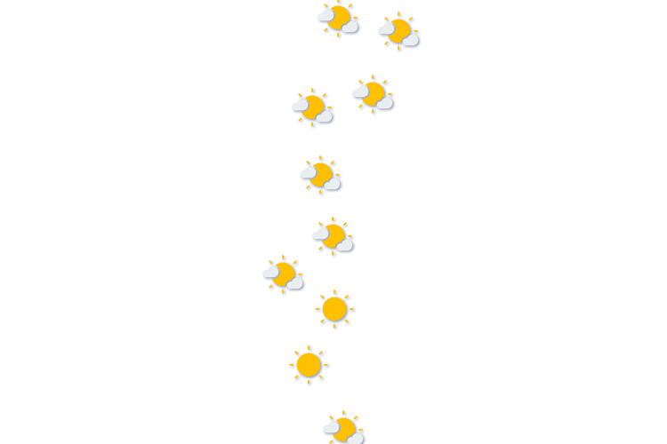 Forecast