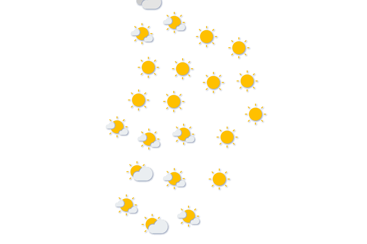 Forecast