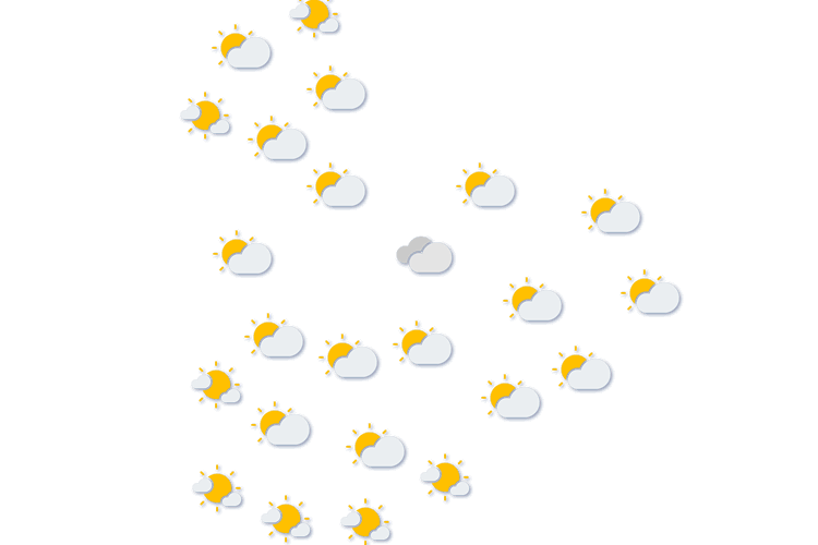 Forecast