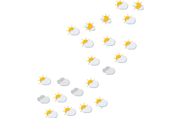 Forecast