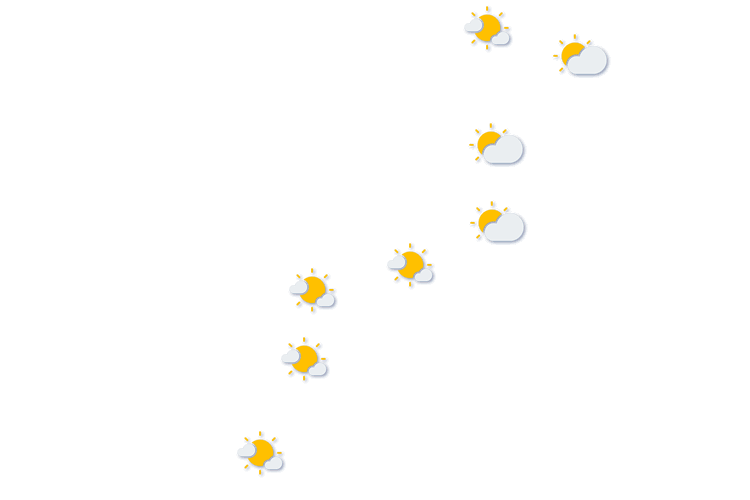 Forecast