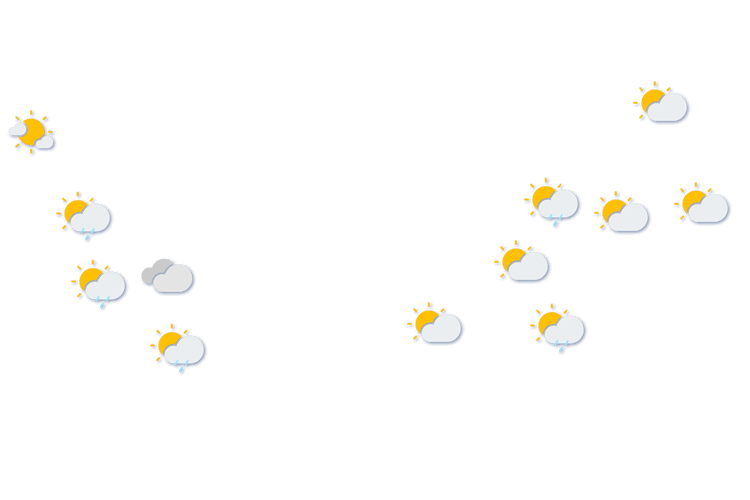 Forecast
