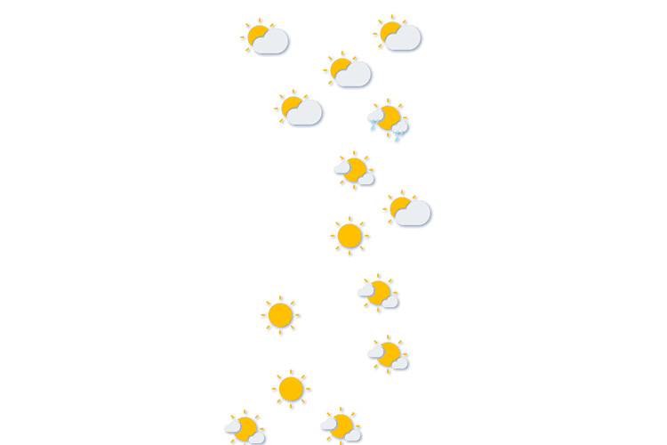 Forecast
