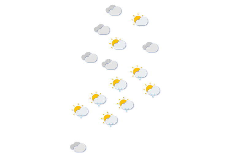 Forecast