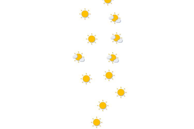 Forecast