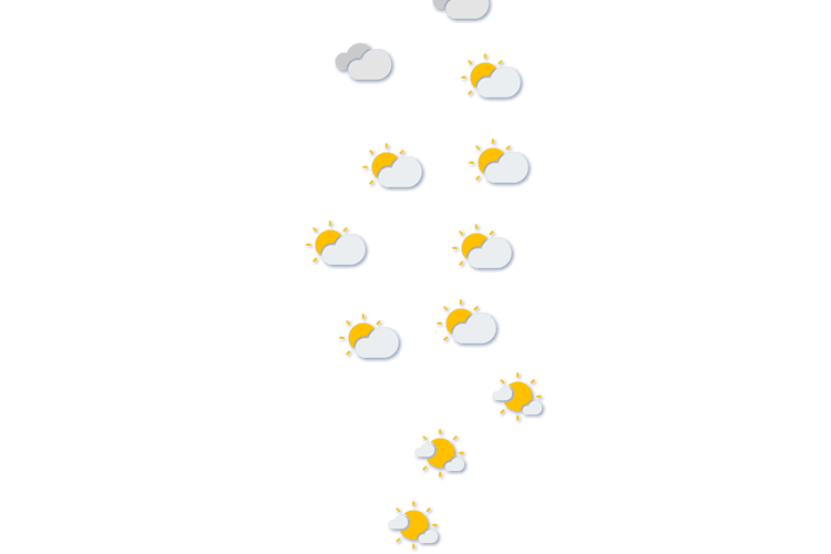 Forecast