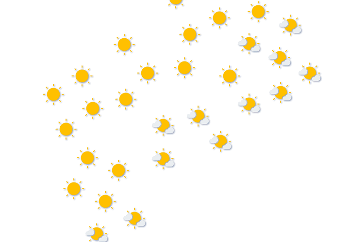 Forecast