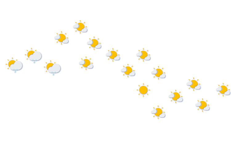 Forecast