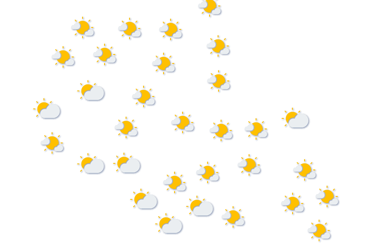 Forecast