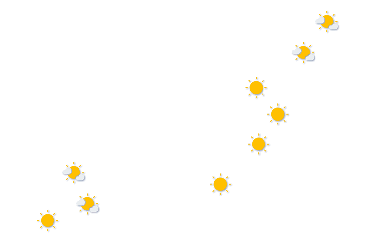Forecast