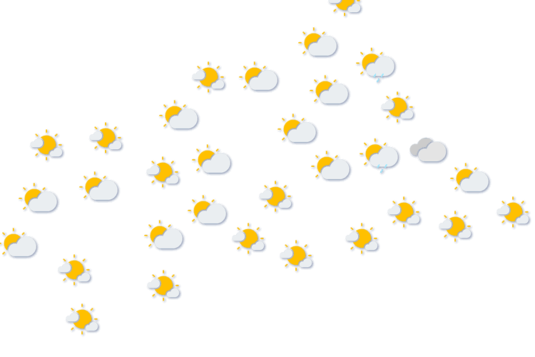 Forecast