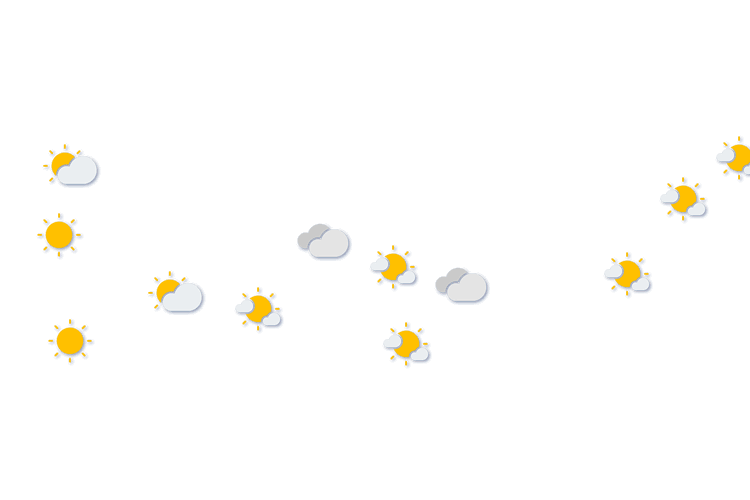 Forecast
