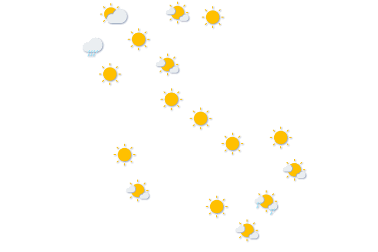 Forecast