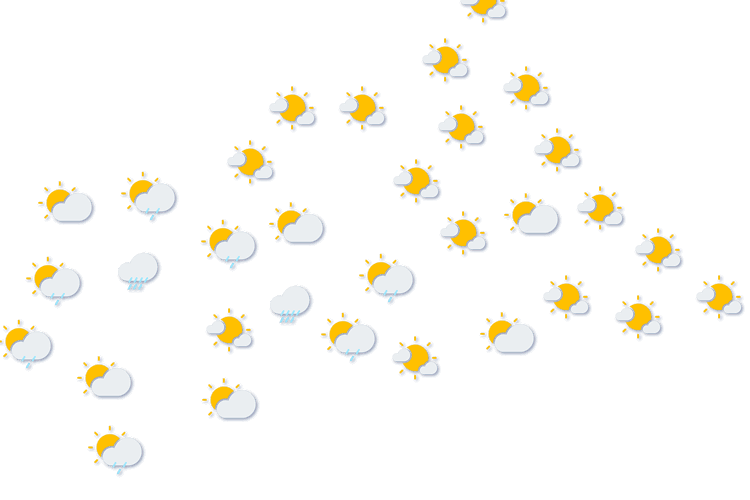 Forecast