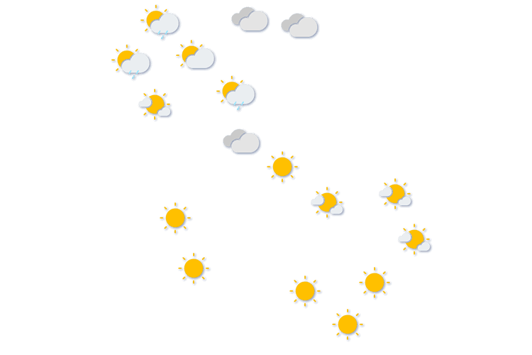 Forecast