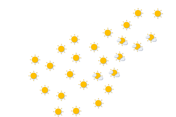 Forecast