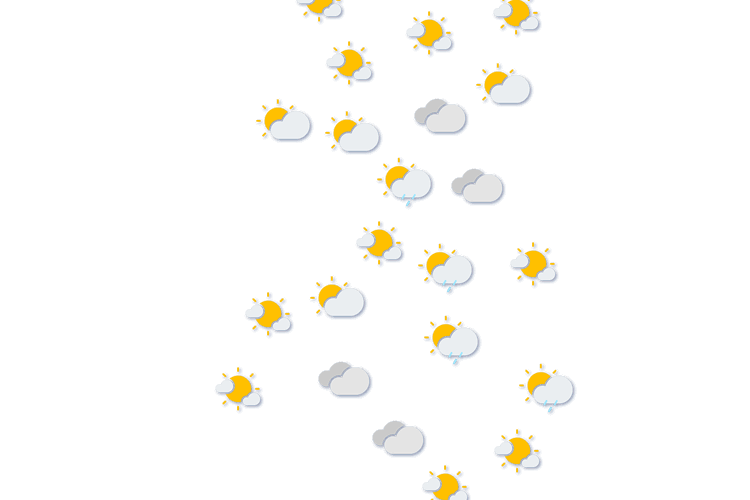 Forecast