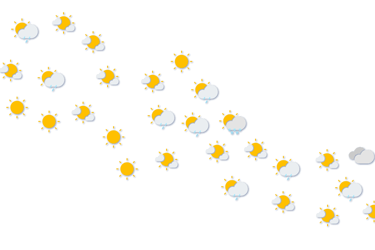 Forecast