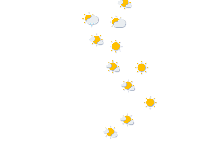 Forecast
