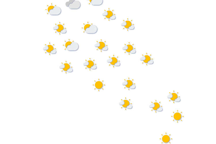 Forecast
