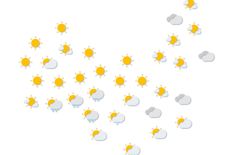 Forecast