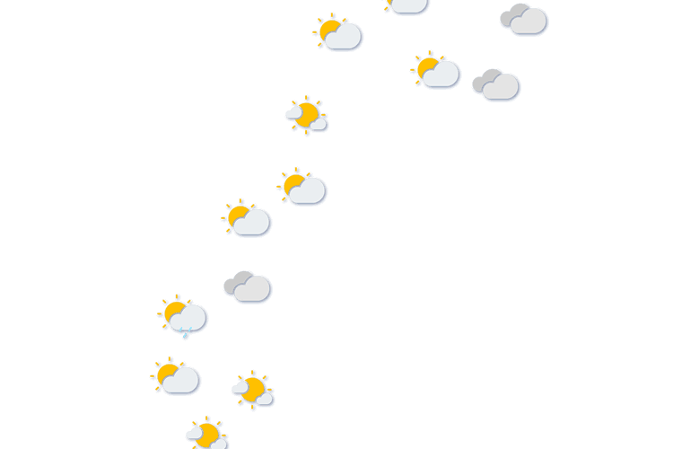 Forecast