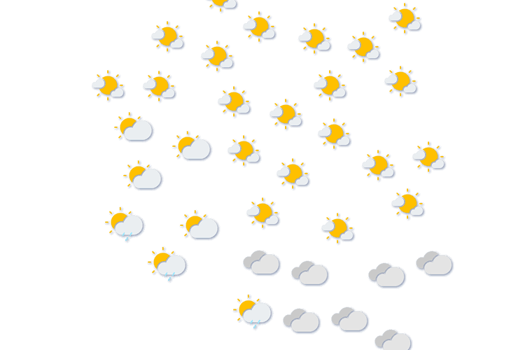 Forecast