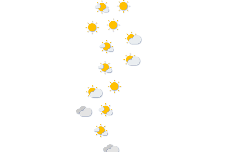 Forecast