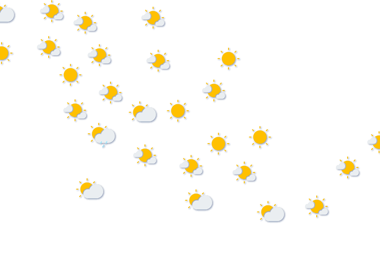 Forecast