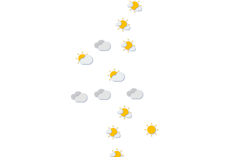 Forecast
