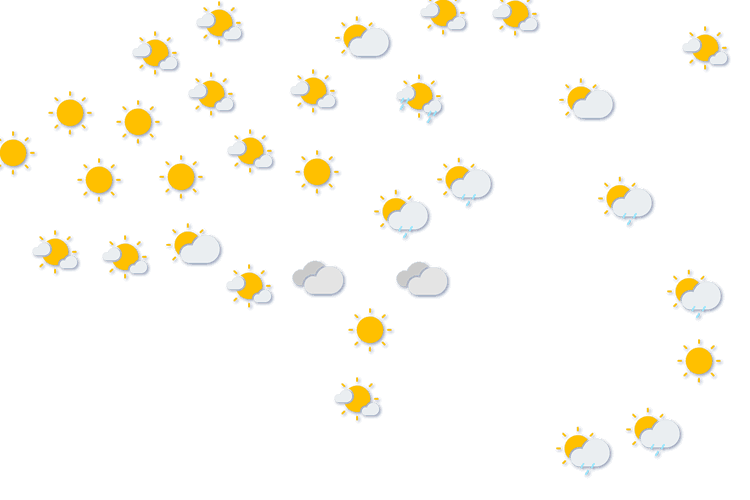 Forecast