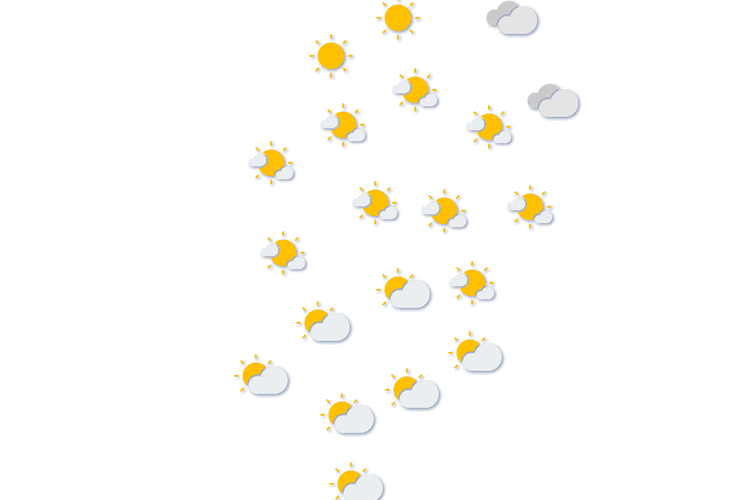Forecast