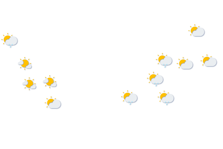 Forecast