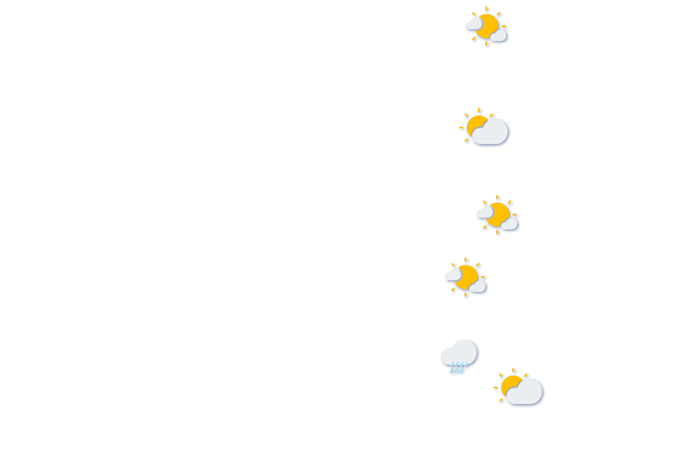 Forecast