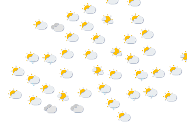 Forecast