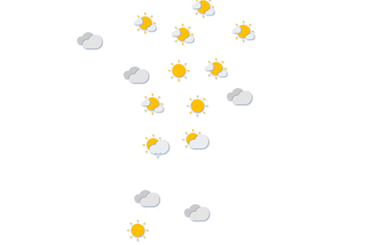 Forecast