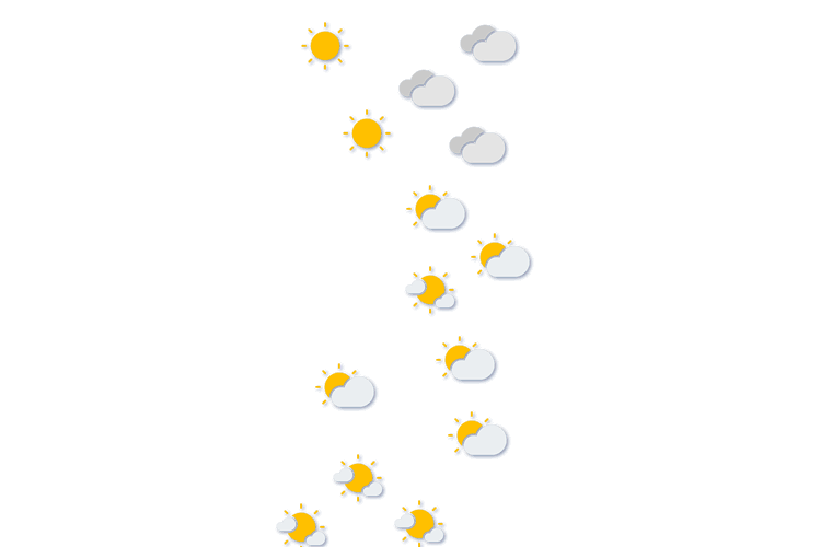 Forecast