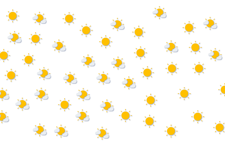 Forecast