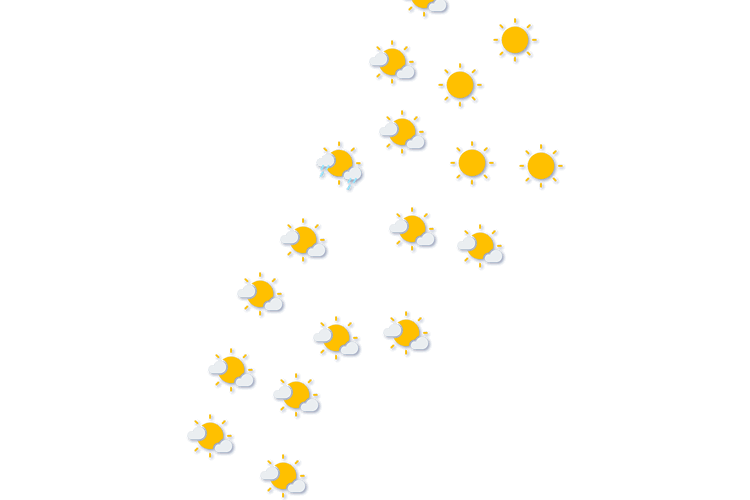 Forecast
