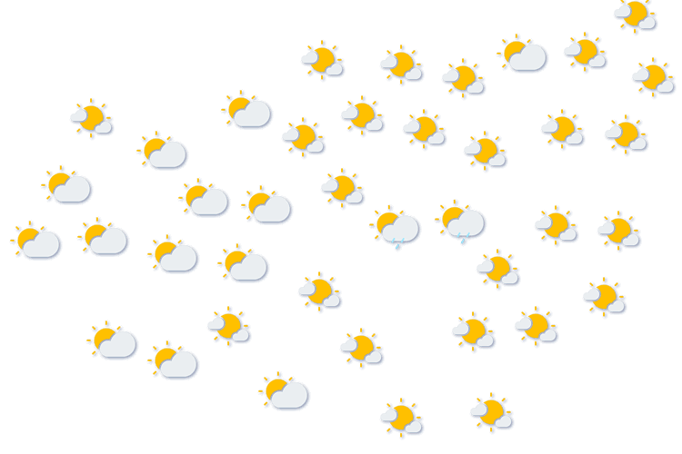 Forecast