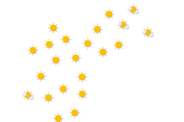 Forecast